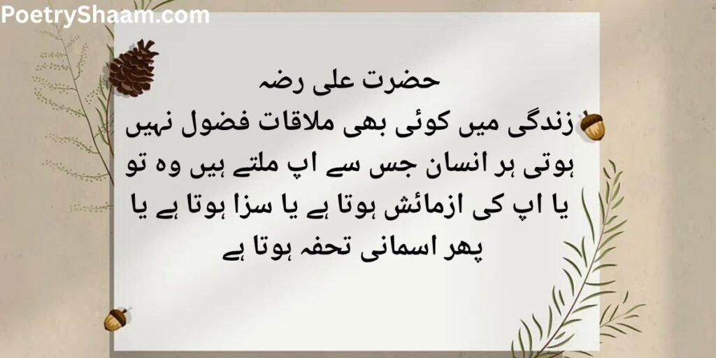 حضرت علی رضہ Deep Islamic Quotes In Urdu