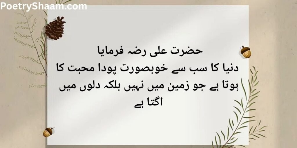 Deep Islamic Quotes In Urdu 