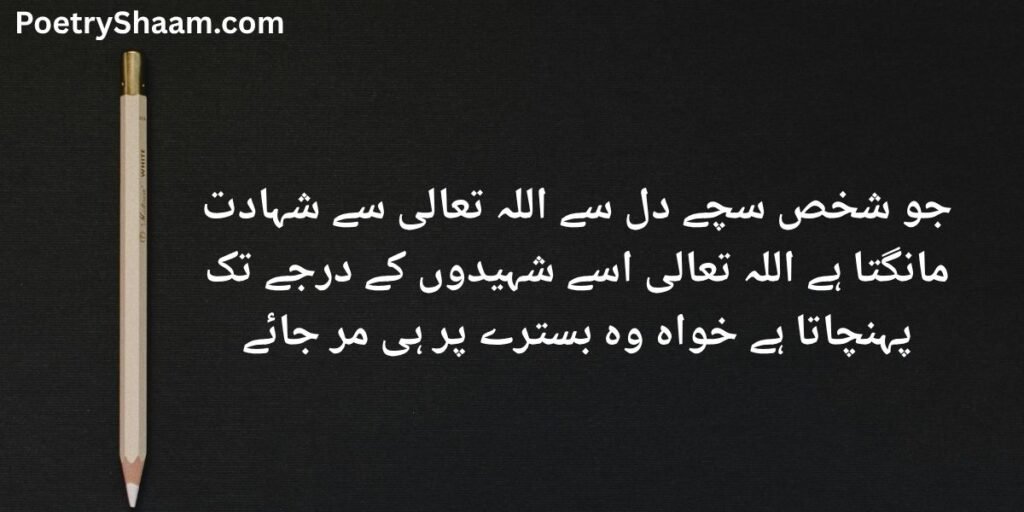 Emotional Shaheed Poetry in Urdu
