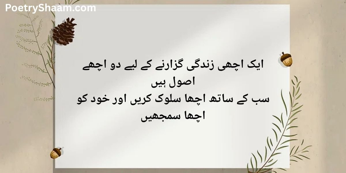 Painful Reality Motivational Quotes In Urdu