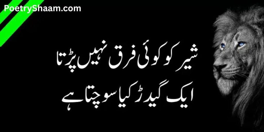 Reality Motivational Quotes In Urdu