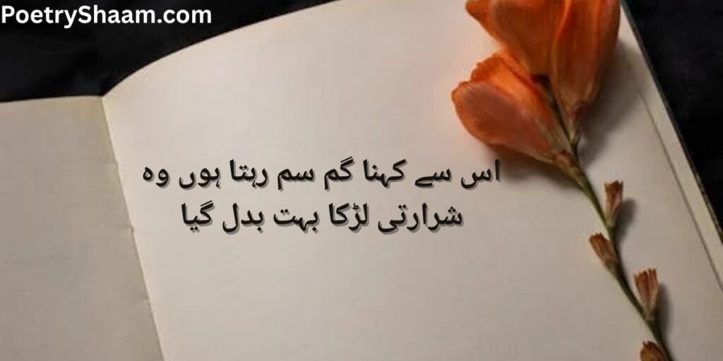 Sad Poetry in Urdu