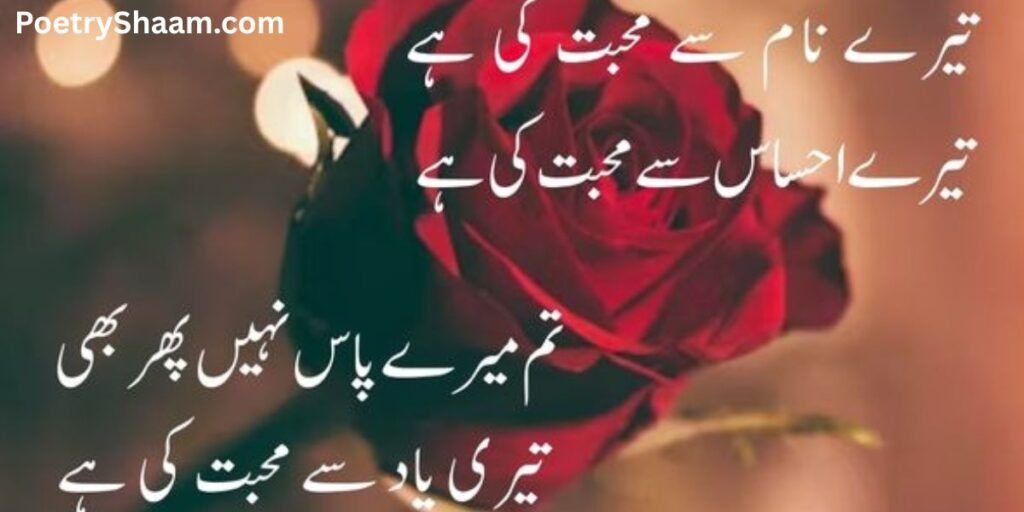 True Love Mohabbat Shayari Urdu Text
