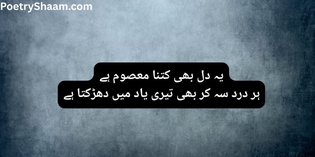 heart touching sad poetry in urdu 
