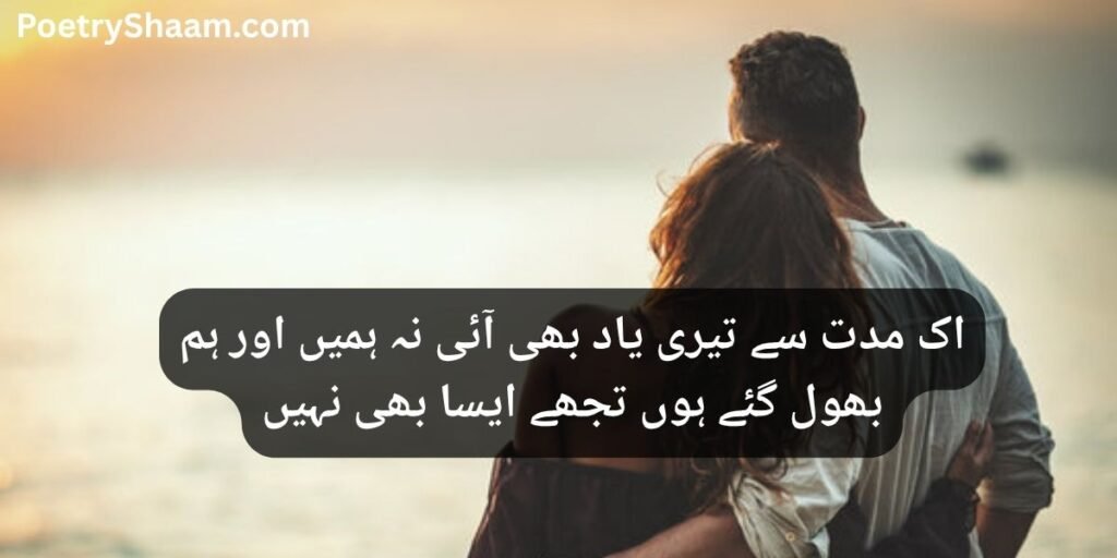 Best Love Lines in Urdu Text 
