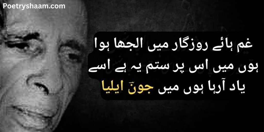 John Elia Poetry in Urdu 2 Lines Copy Paste