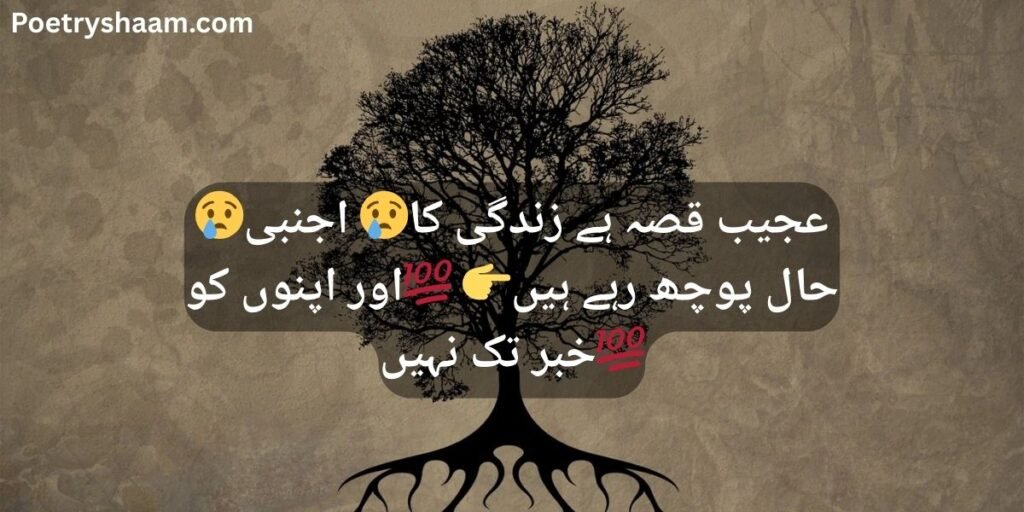 Urdu Poetry on Reality of Life