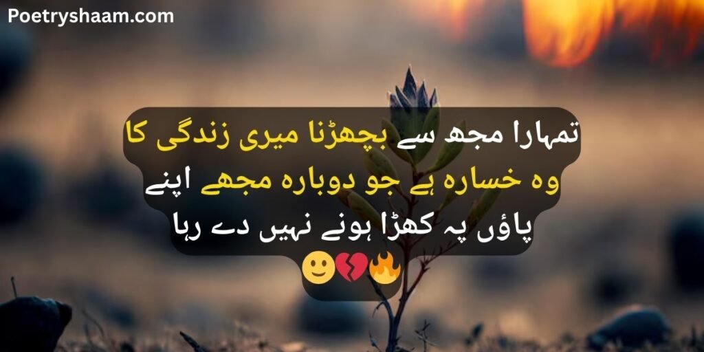 Urdu Poetry on Reality of Life