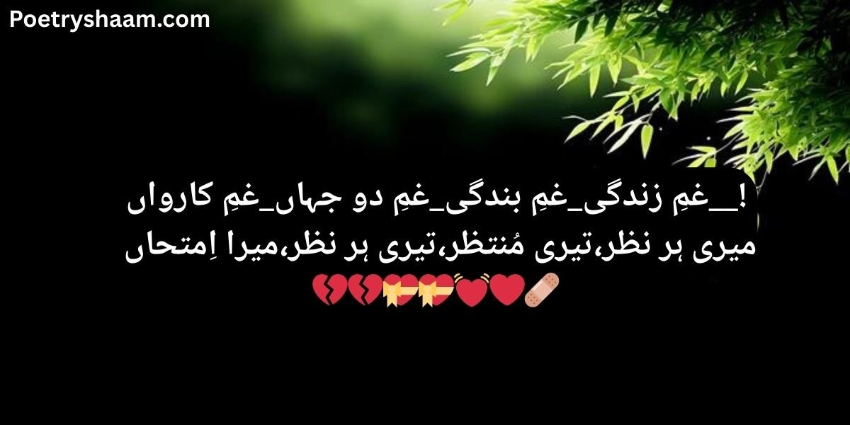 Urdu Poetry on Reality of Life